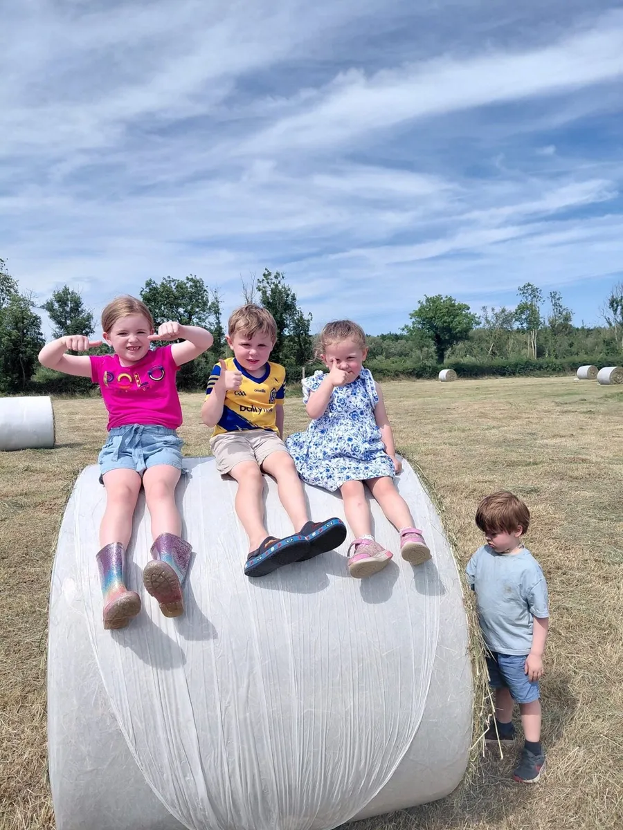 Plastic wrapped hay x30 - Image 2