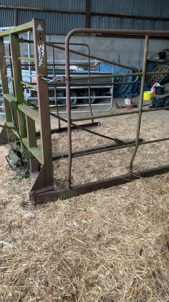 Bale elevator & bale grab - Image 3