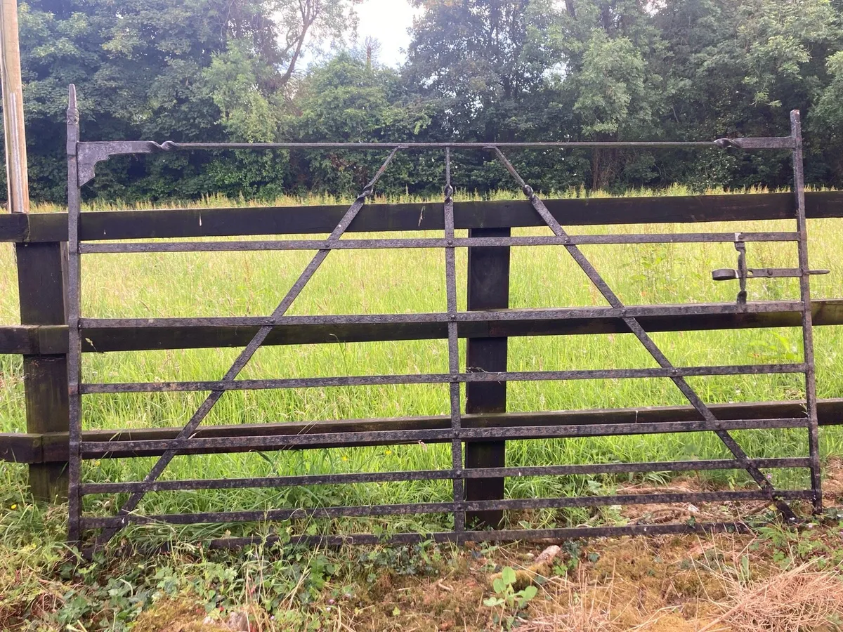 Farm gate - Image 1