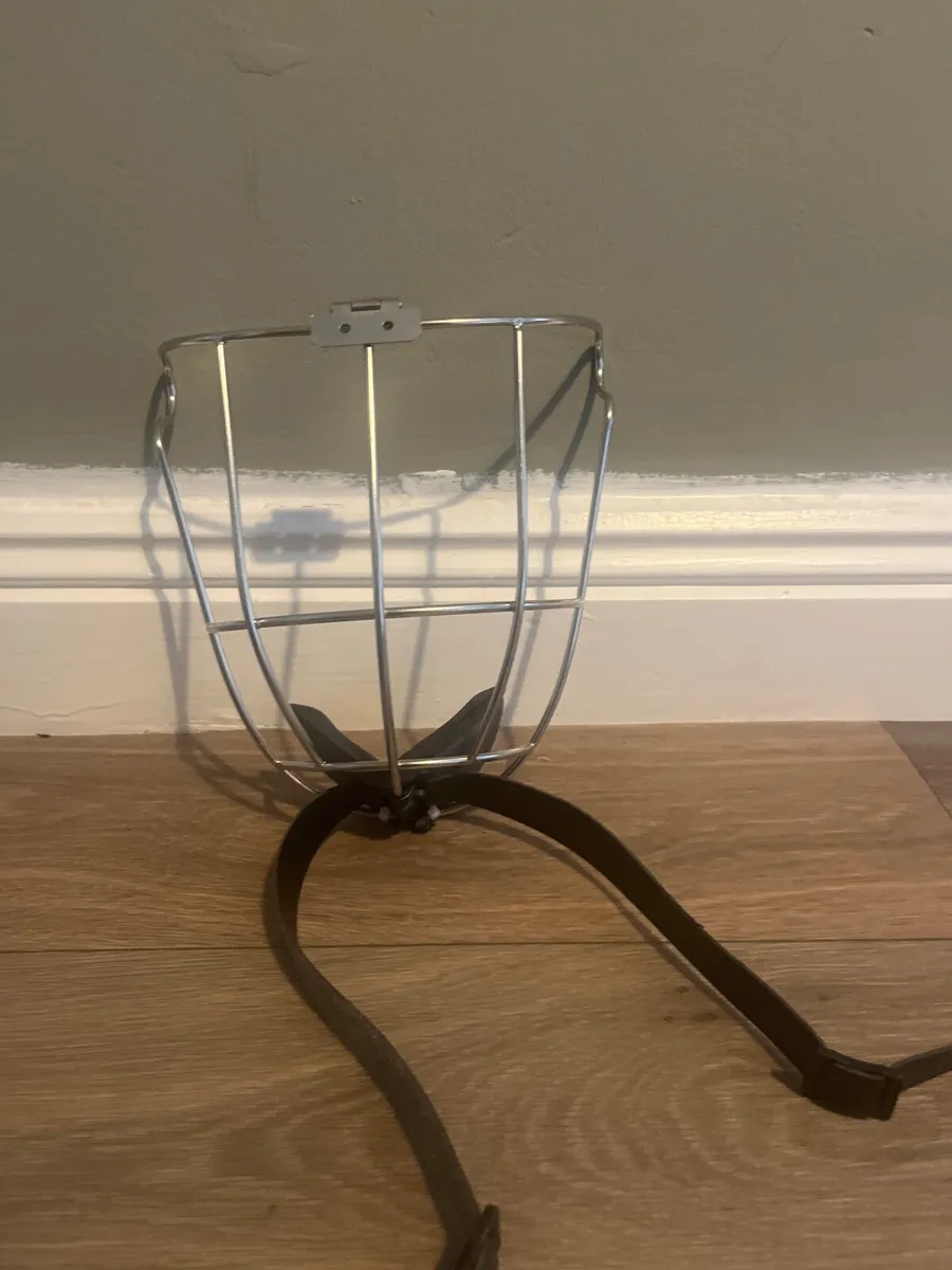 Hurling cooper helmet - Image 1