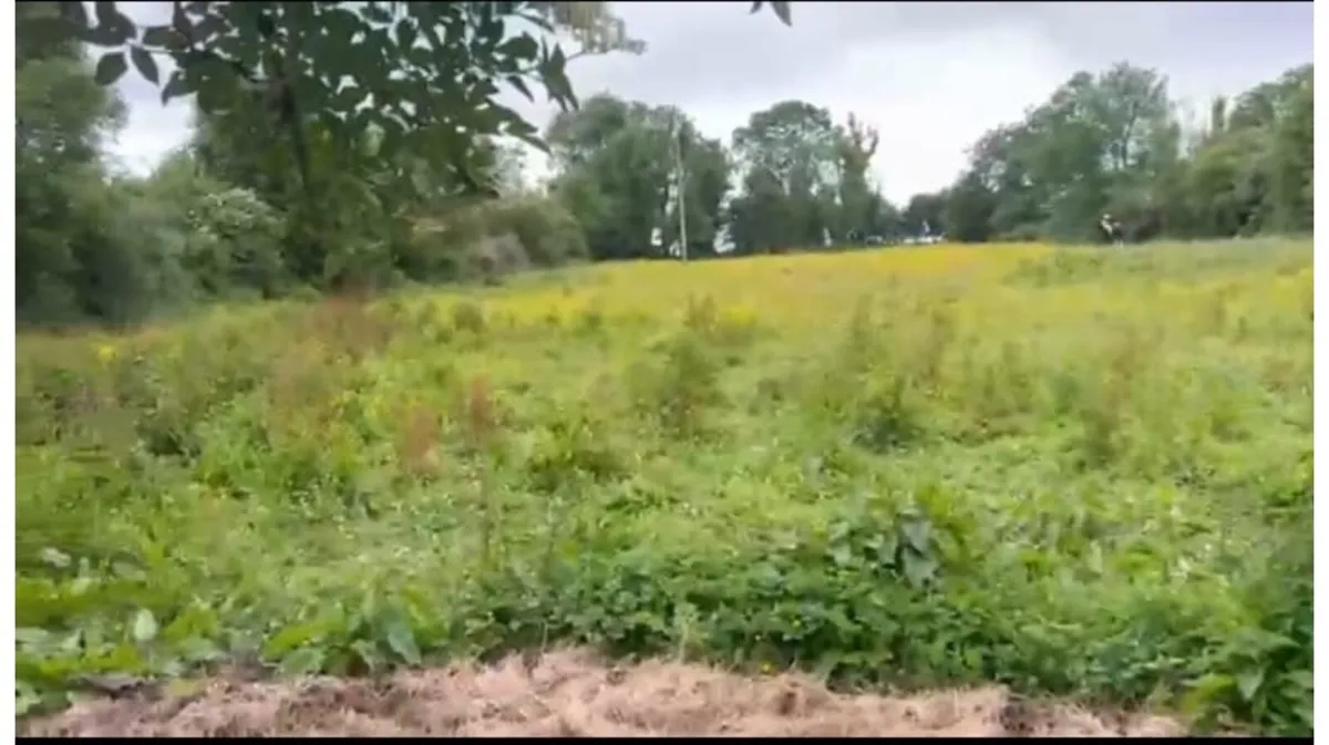 Land - Image 3