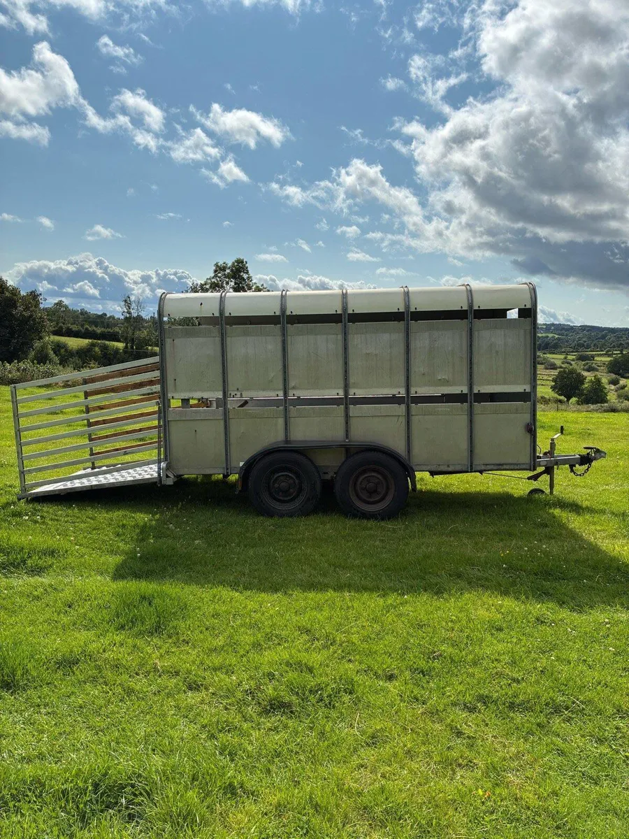 12x6ft Ifor Williams Cattle Trailer - Image 2