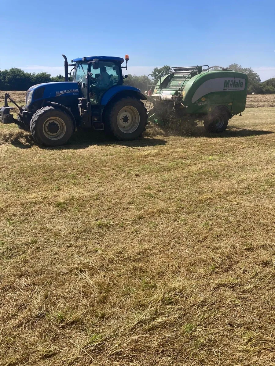 Hay For Sale - Image 3