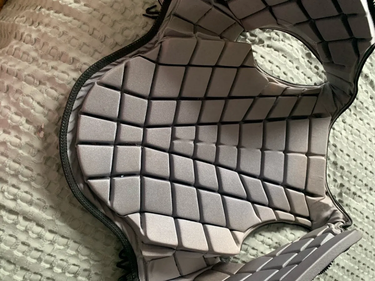 Champion Ti22 back protector - Image 3