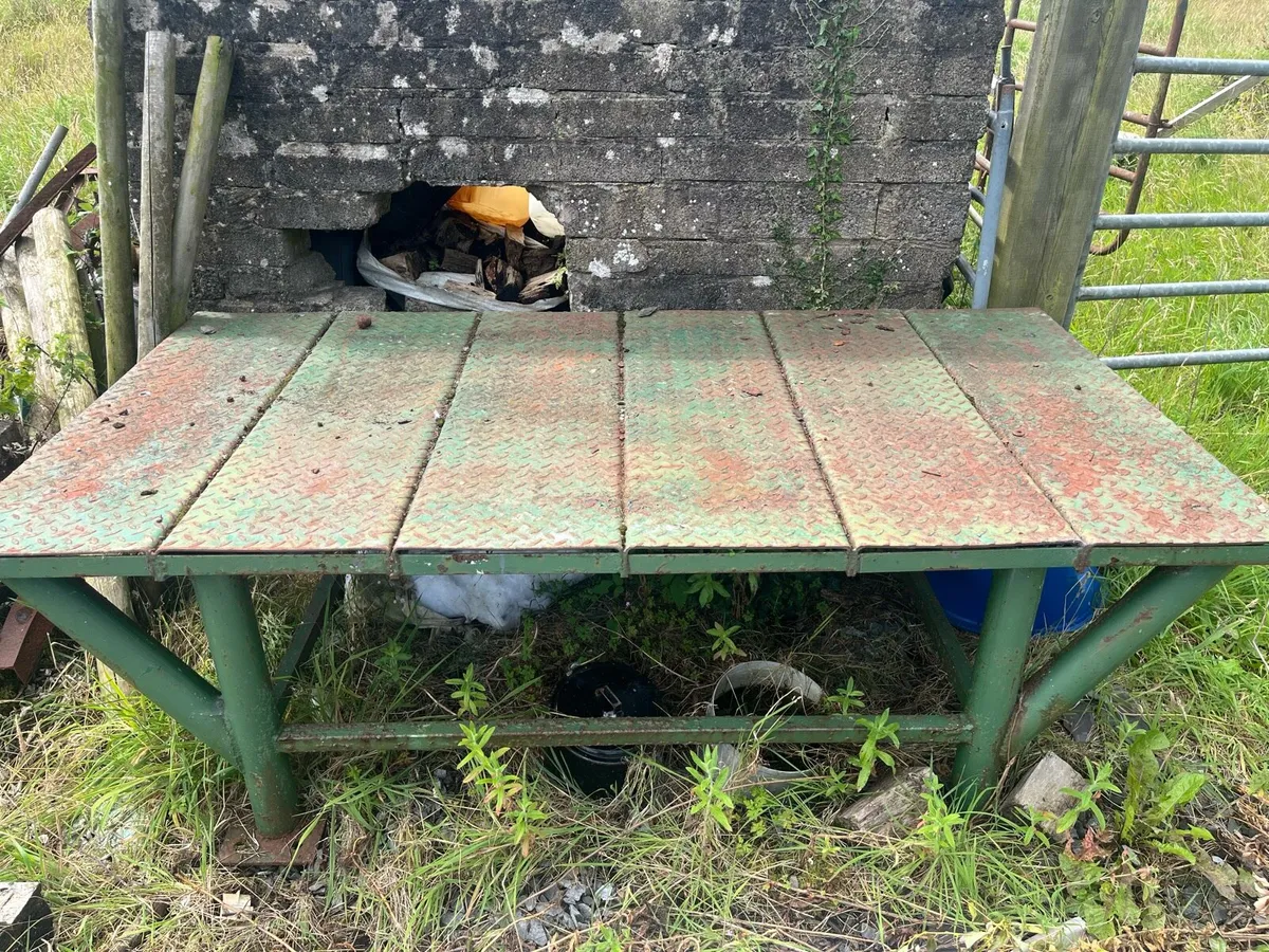 Trailer, Container, Steel table, land leveller - Image 4