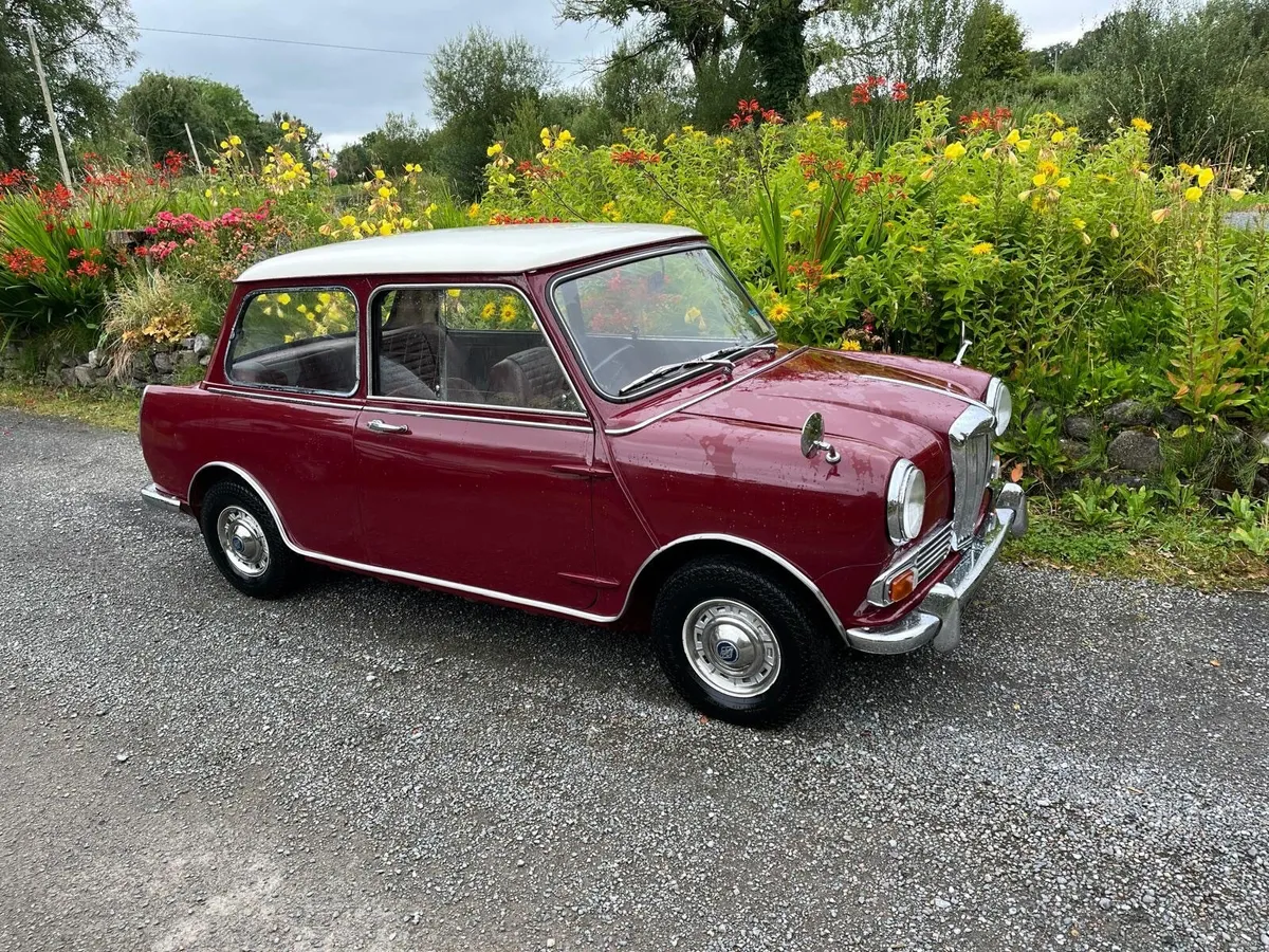 RILEY ELF 1962 - Image 4