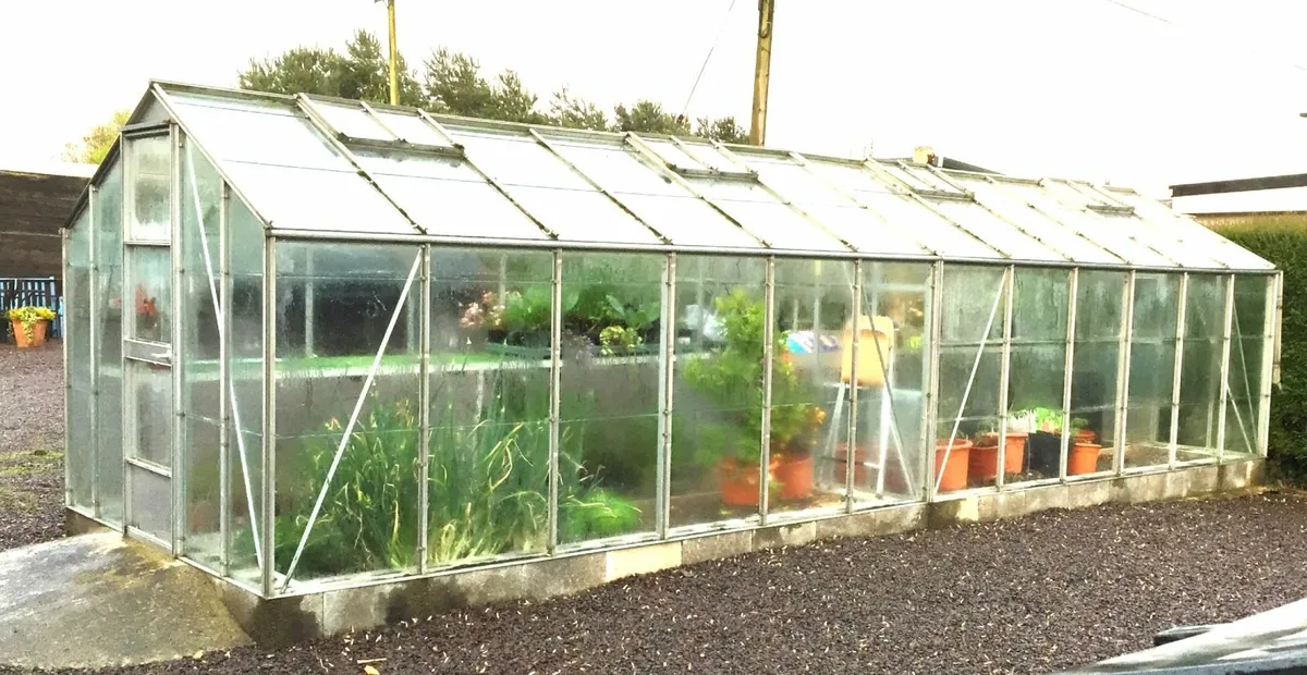 Glasshouse - Image 1