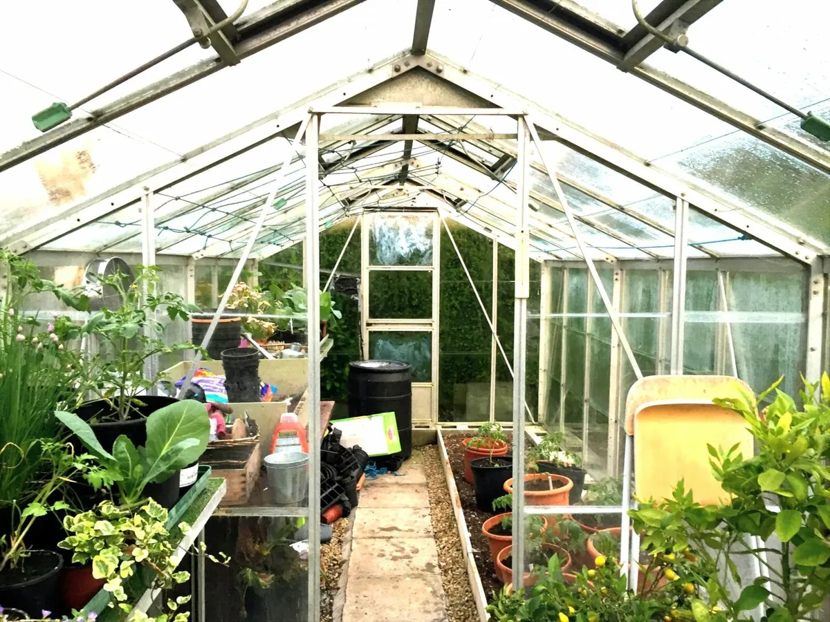 Glasshouse - Image 2