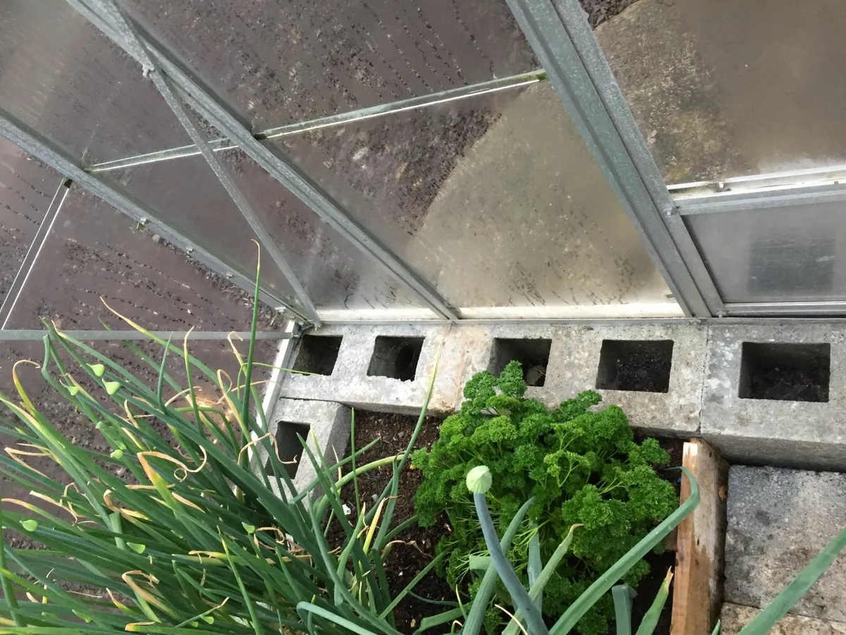 Glasshouse - Image 4