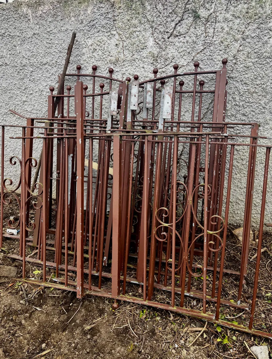 Galvanised Entrance Gates plus Railings - Image 4