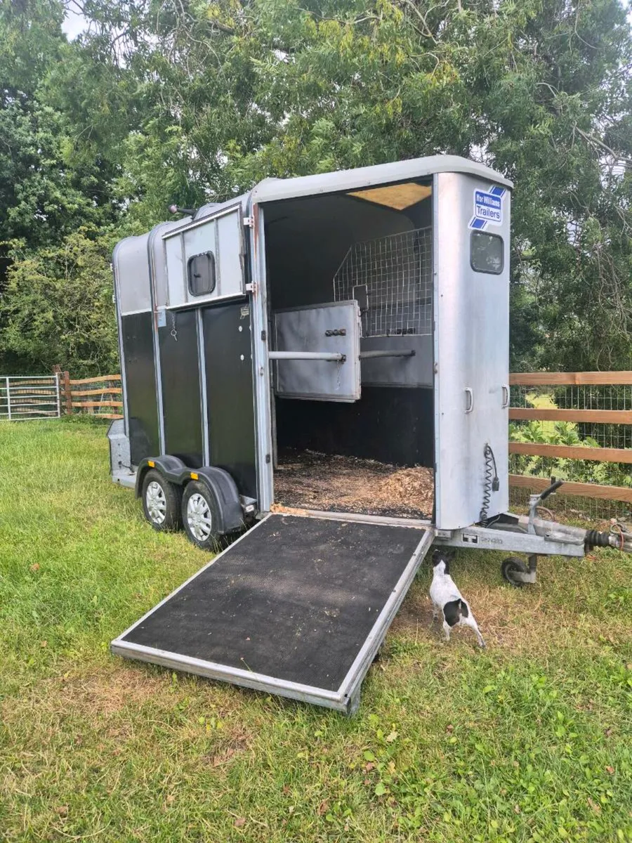 510 Classic Horse Box - Image 4
