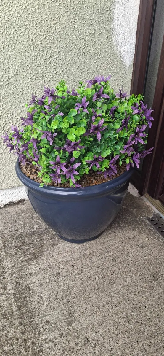 Flowers - Image 1
