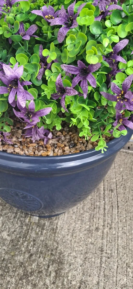 Flowers - Image 2
