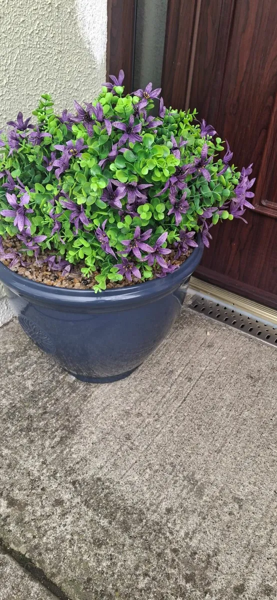 Flowers - Image 3