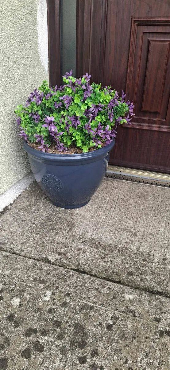 Flowers - Image 4
