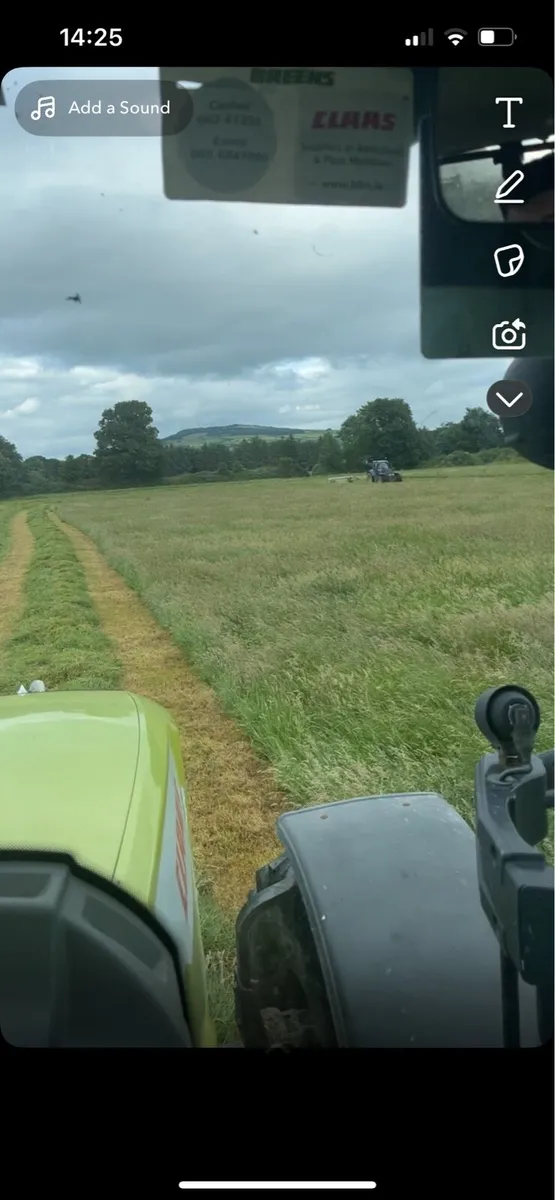 Haylage - Image 2