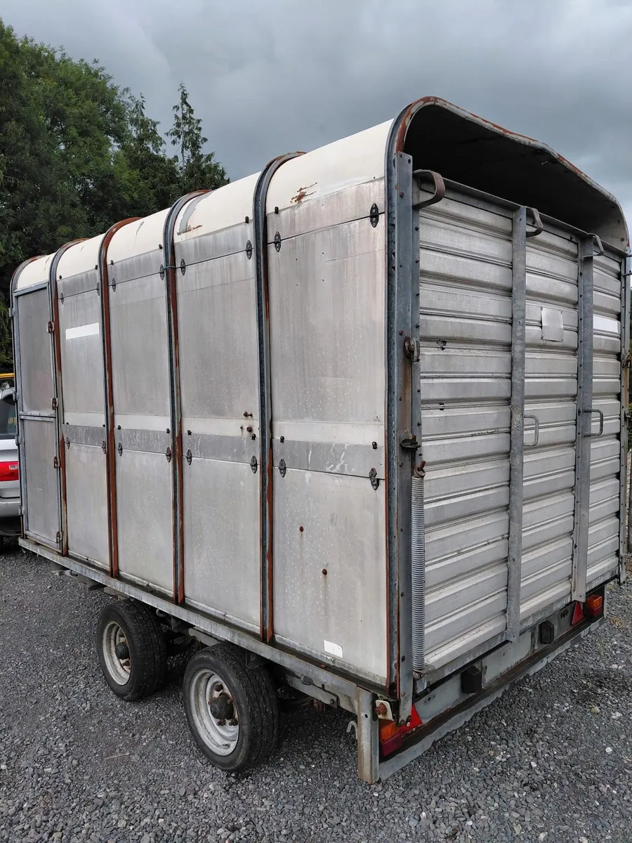 Cattle trailer 10ft * 6ft 6in - Image 2