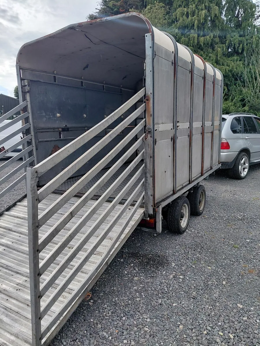 Cattle trailer 10ft * 6ft 6in - Image 3