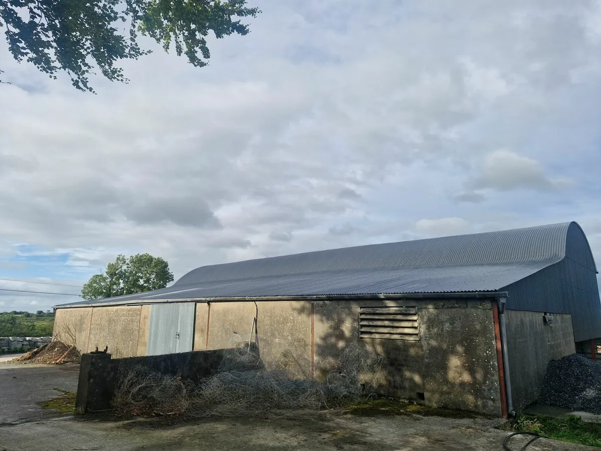Galvanised sheeting - Image 4
