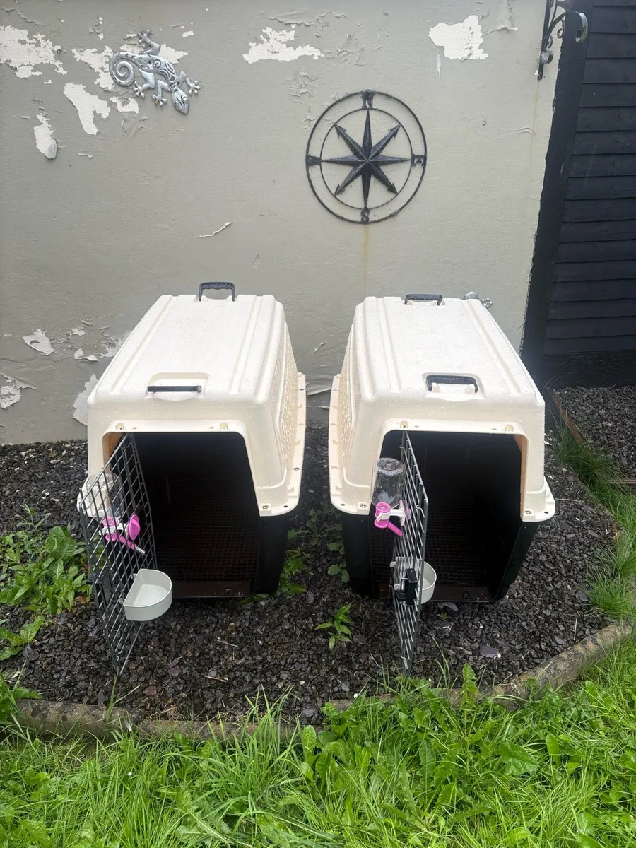 Professional/International Dog Travel Boxes x 2 - Image 2