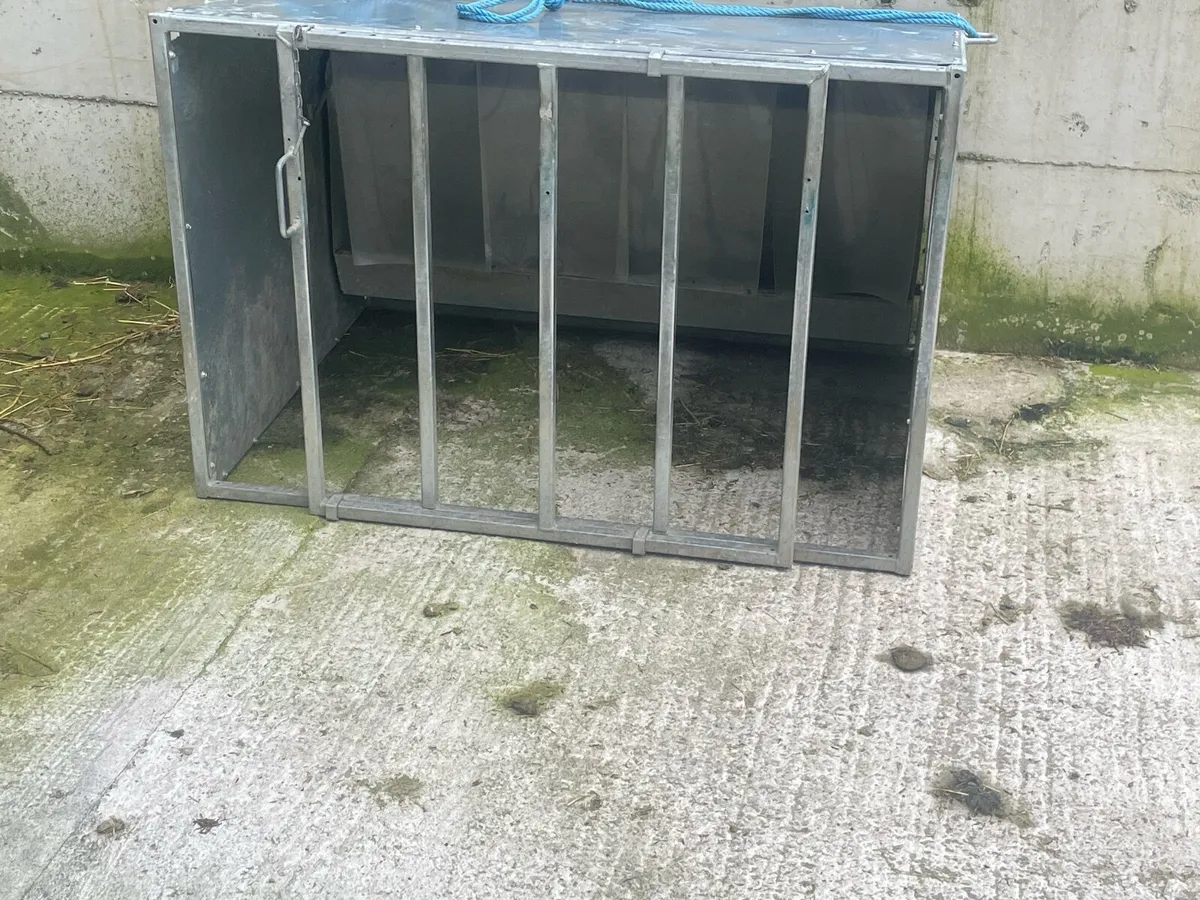 Lamb Creep Feeder - Image 2