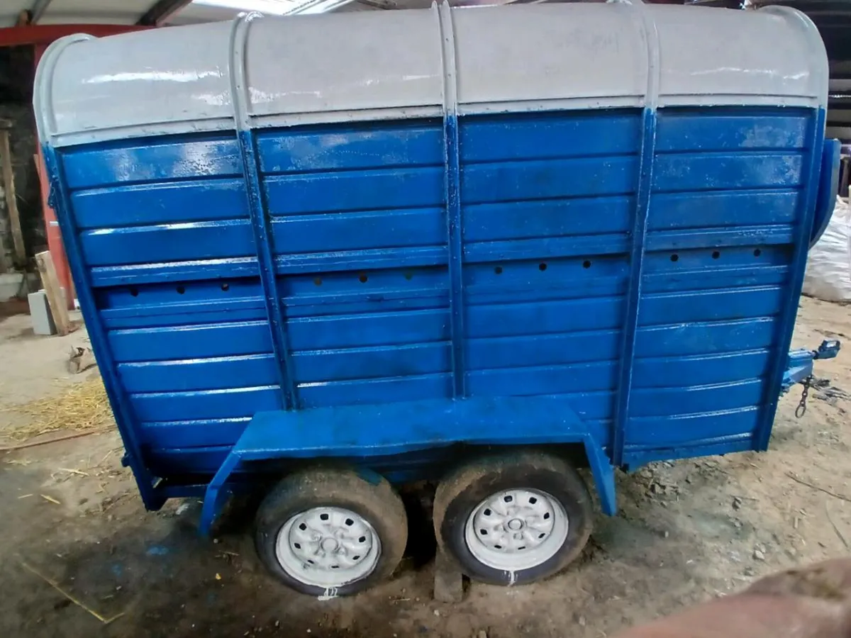 Cowbox 8x4 - Image 3