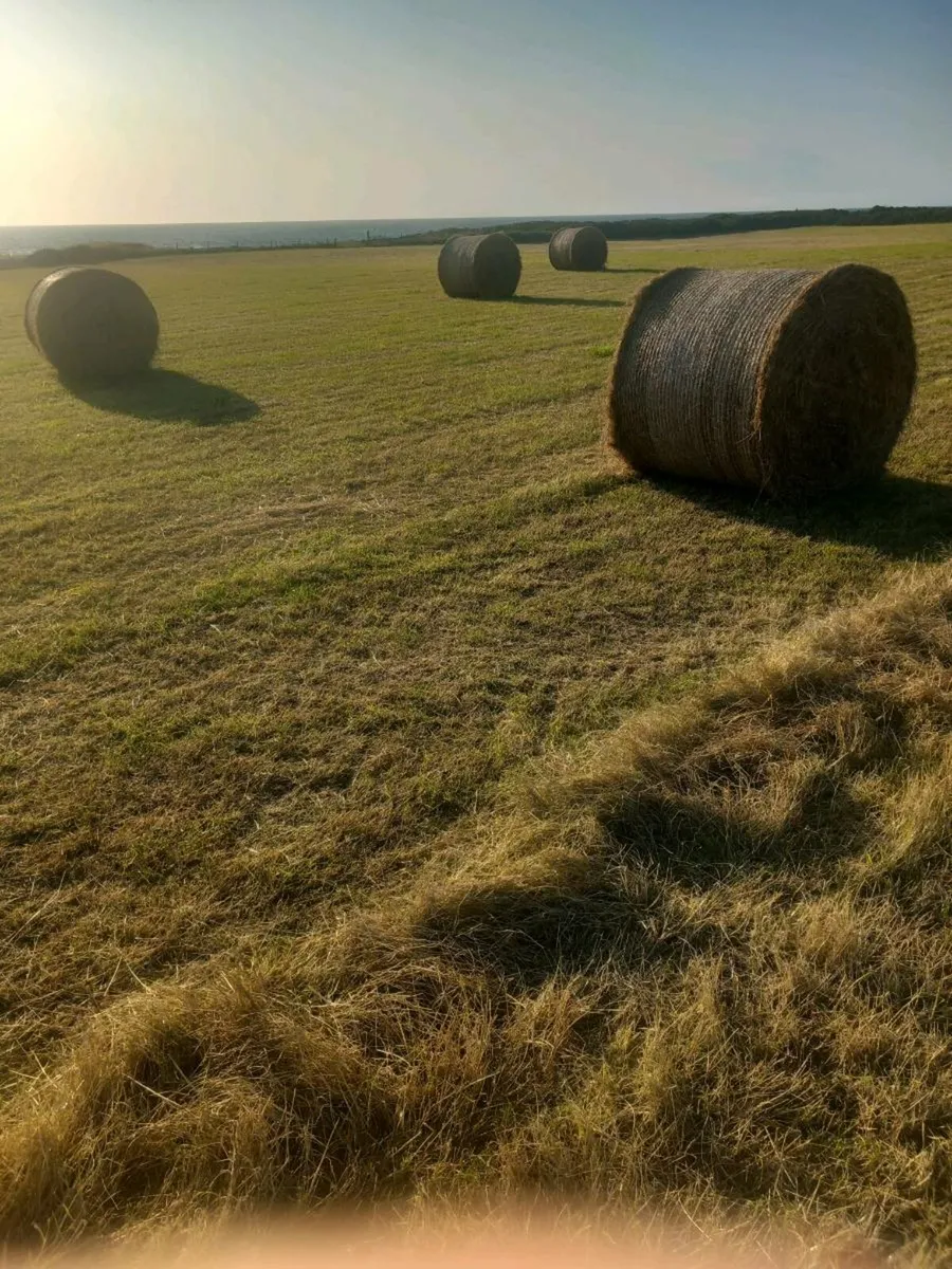 Round hay - Image 1