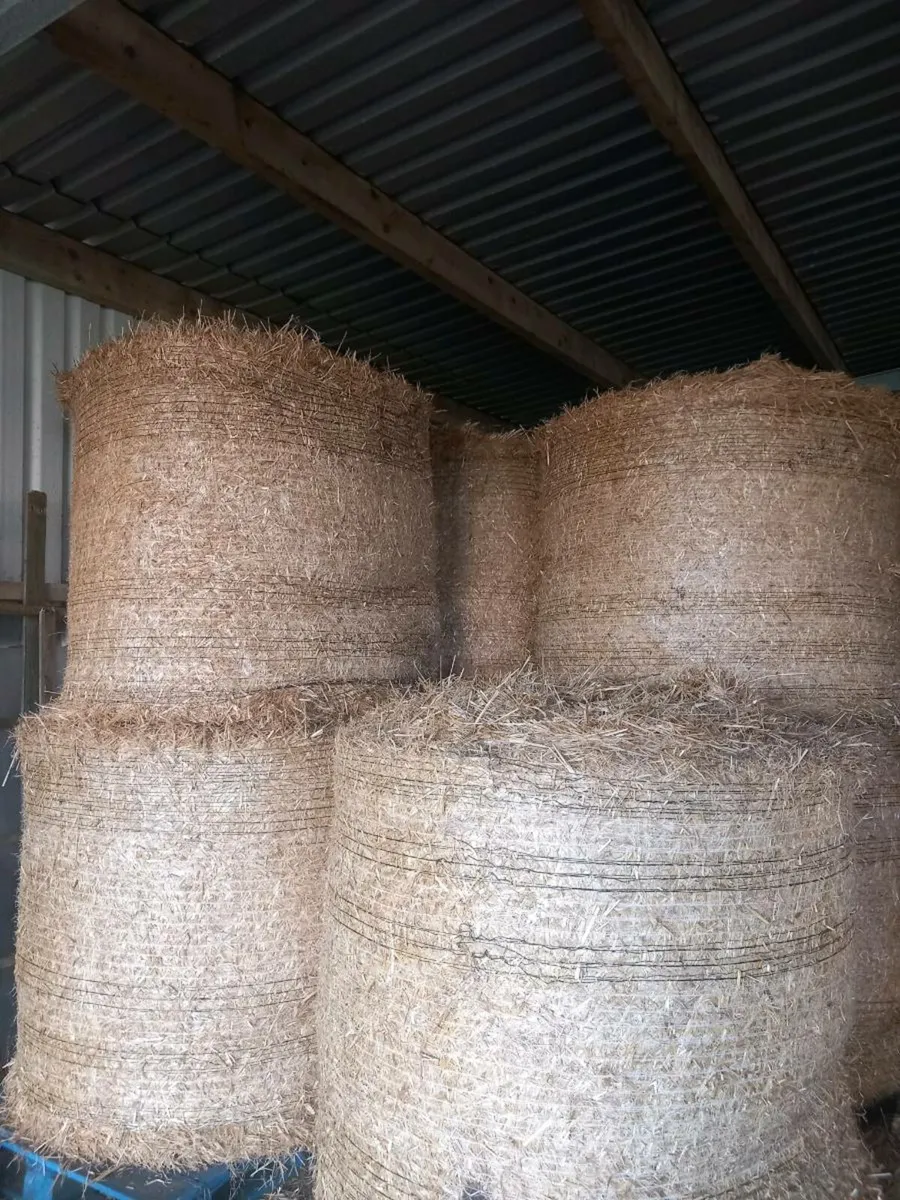 Round hay - Image 2