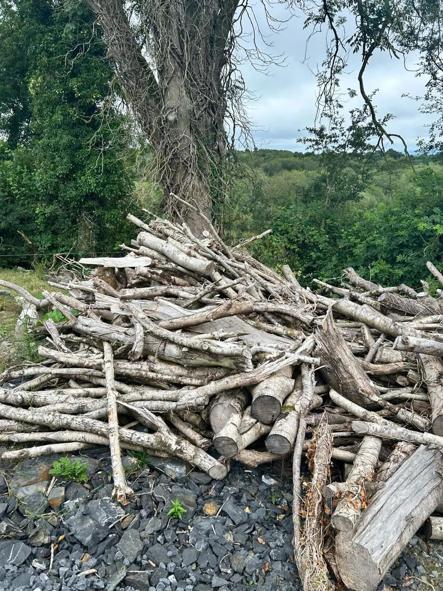 Fire wood - Image 3