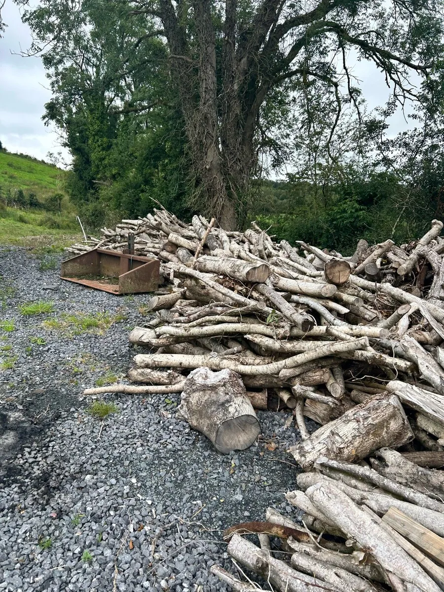 Fire wood - Image 4