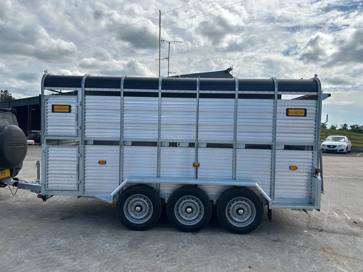 New Porter 14X6, Livestock Trailer - Image 4