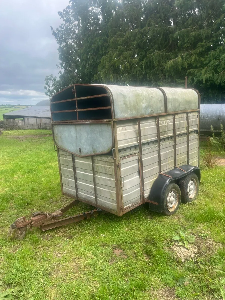 Cattle trailer - Image 3