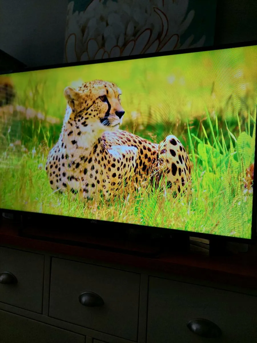 JVC 43inch Smart Tv - Image 4