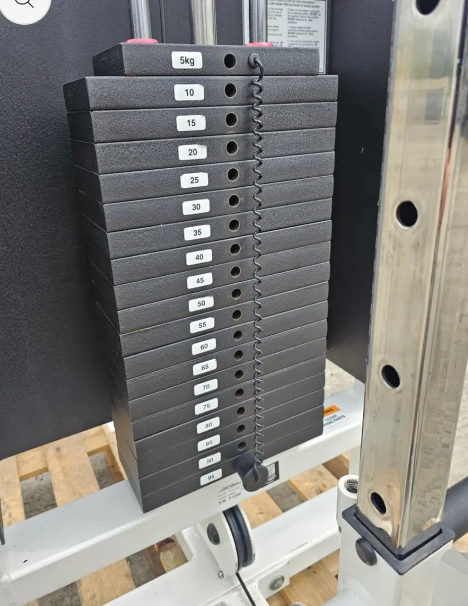 Life Fitness adjustable pulley stack - Image 2