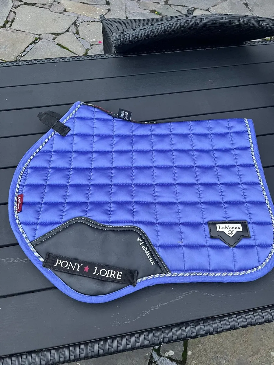 Le Mieux Saddle Pad, head collar, saddle cover - Image 3
