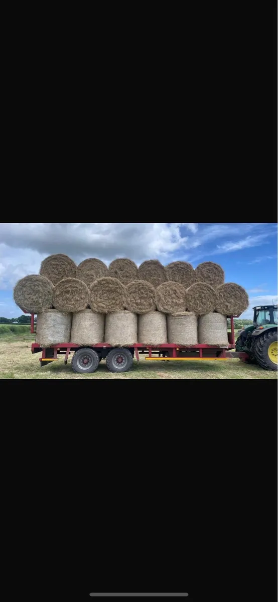 Small square bales hay and straw - Image 1