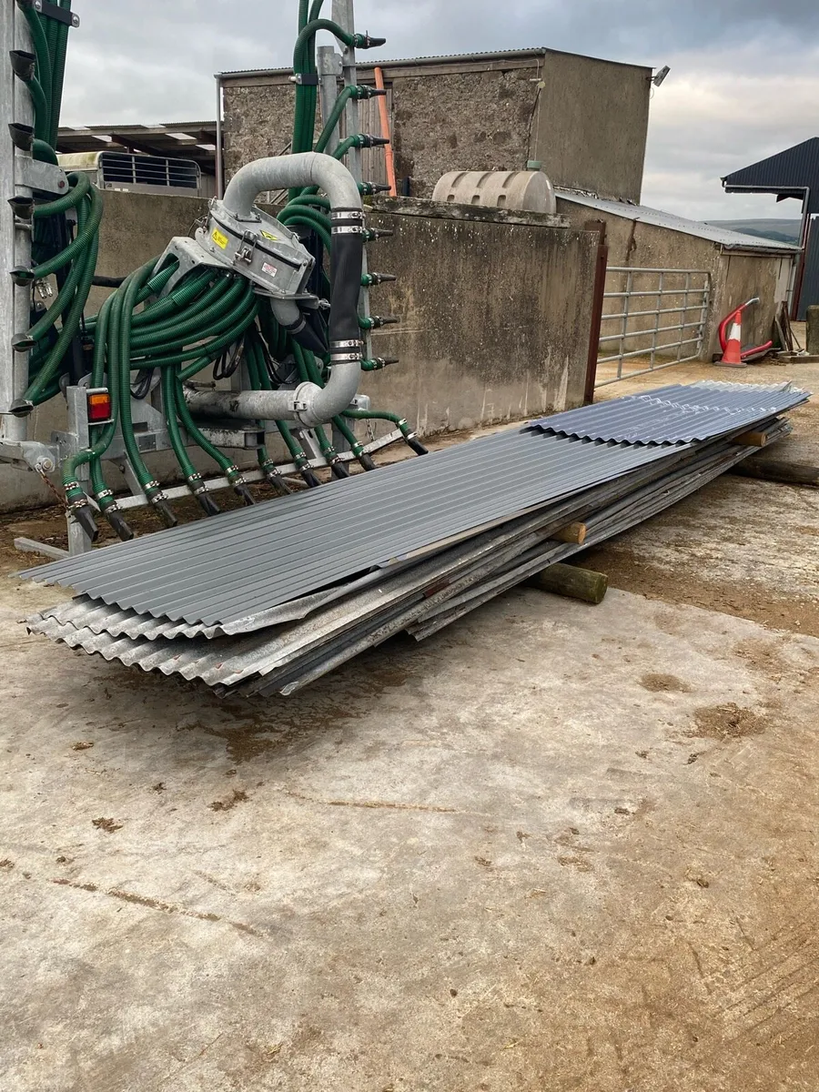 Galvanised roofing sheets and timber purlins - Image 1