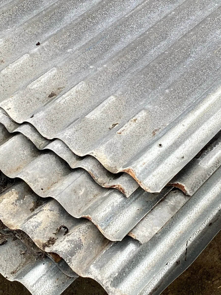 Galvanised roofing sheets and timber purlins - Image 2