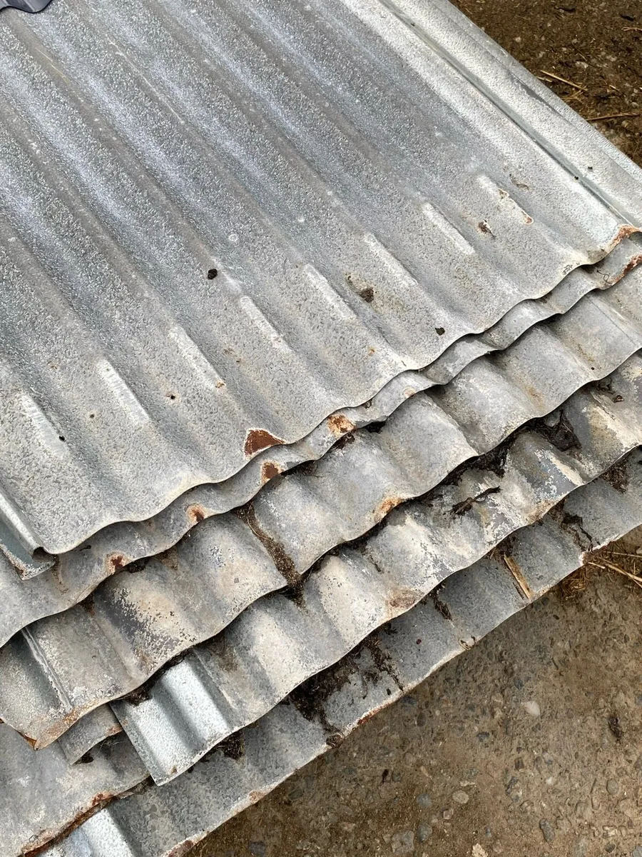 Galvanised roofing sheets and timber purlins - Image 3