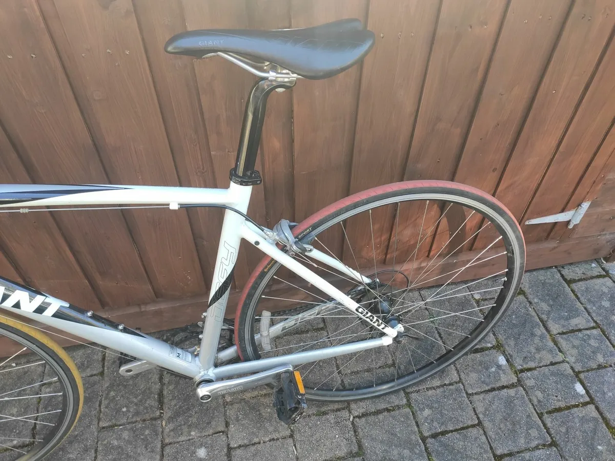Giant Defy 4 - Image 3