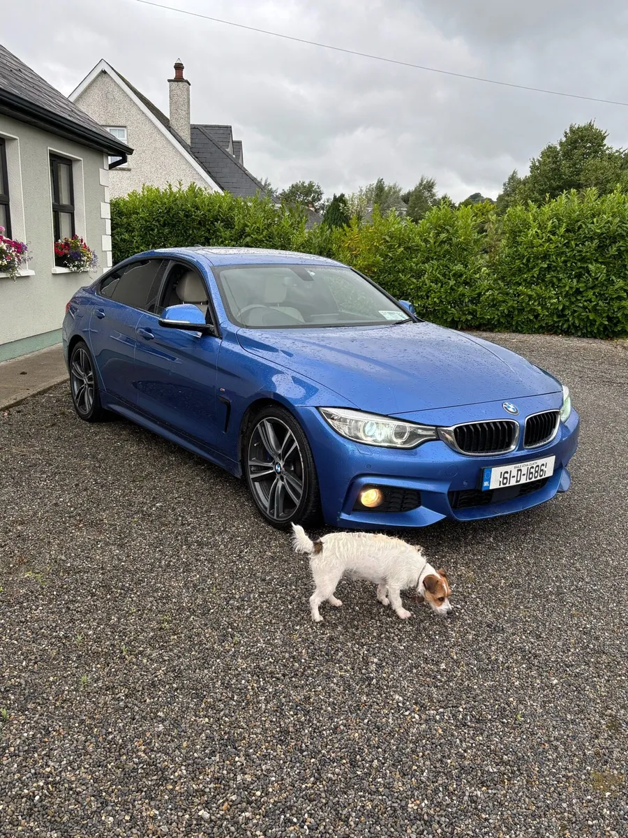 2016 BMW 430D M Sport - Image 4