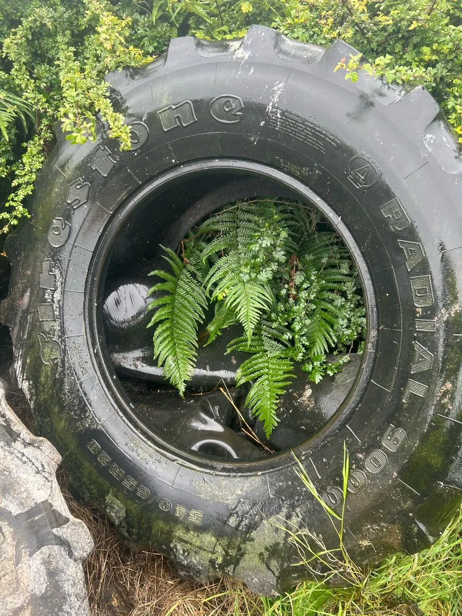 650/65r38 - Image 3