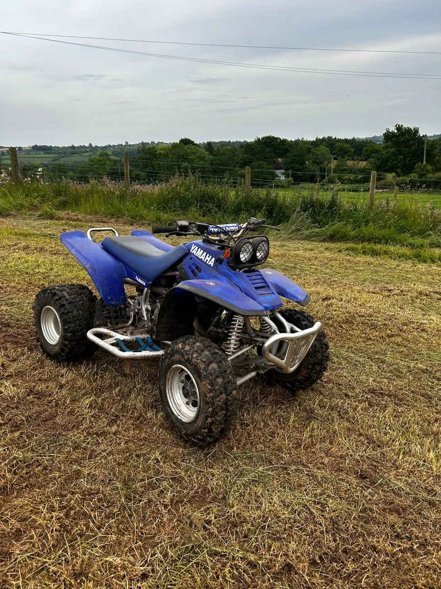 Adults and child’s quads,Yamaha warrior+ 50cc quad - Image 2