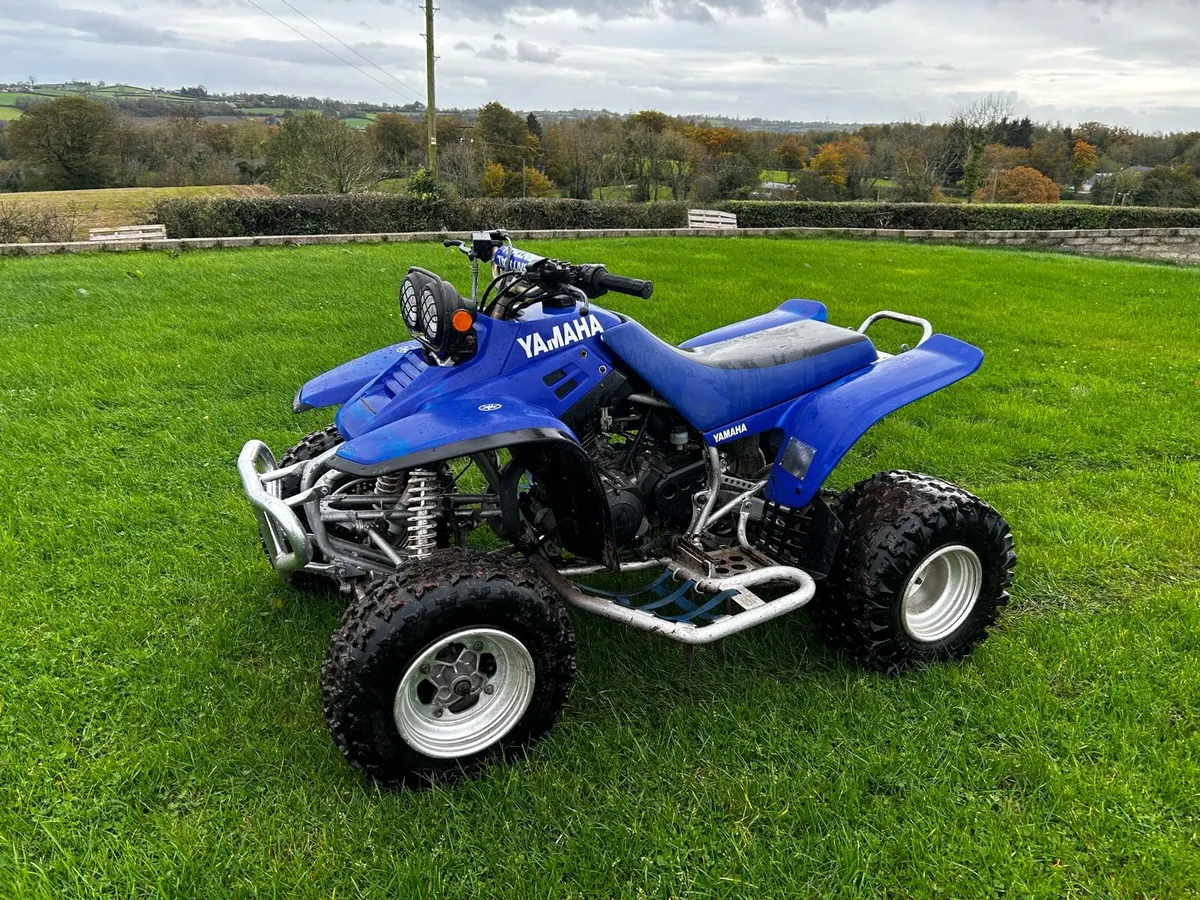 Adults and child’s quads,Yamaha warrior+ 50cc quad - Image 1