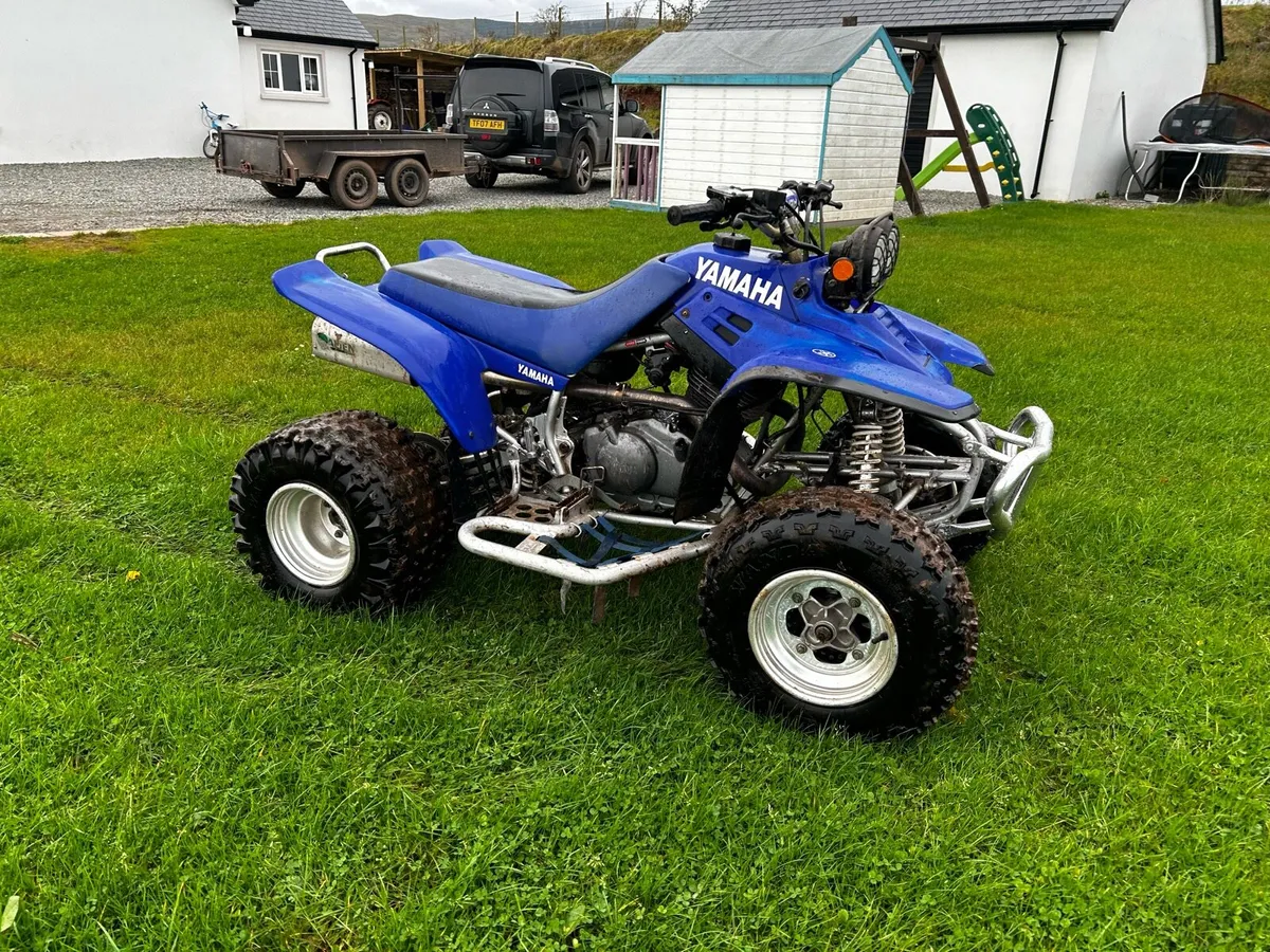 Adults and child’s quads,Yamaha warrior+ 50cc quad - Image 3