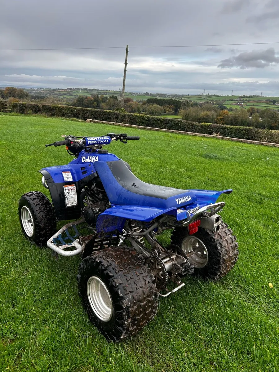Adults and child’s quads,Yamaha warrior+ 50cc quad - Image 4