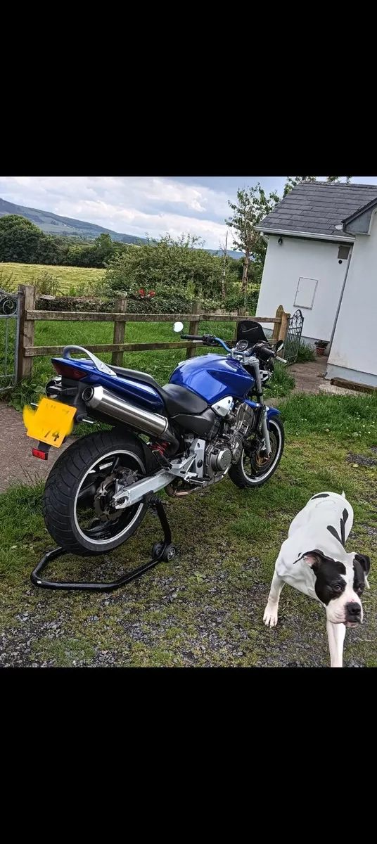 Honda CB900F  Hornet - Image 2