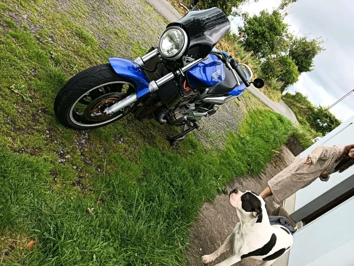 Honda CB900F  Hornet - Image 3