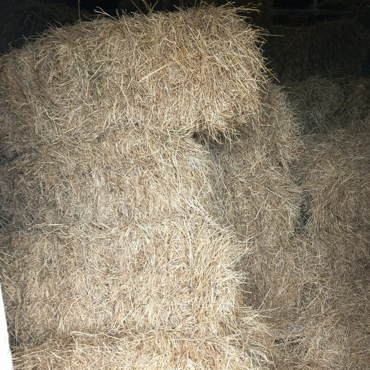 Top Quality Square Bales x 300