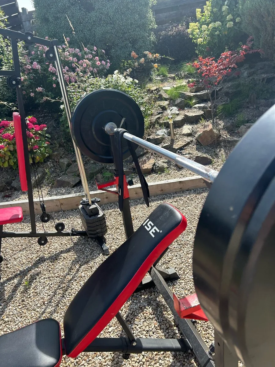Gym gear - Image 2